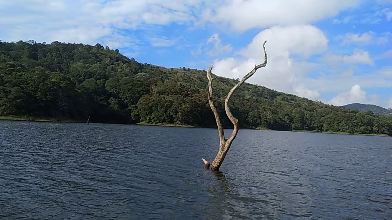 Thekkady boat ride - Part 4