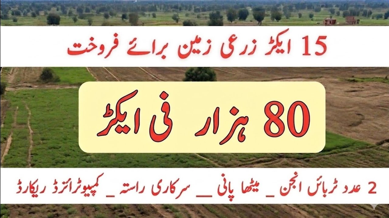 15 Acer Agriculture land for sale in Punjab pakistan || Land for sale in Punjab ||Land for sale 008