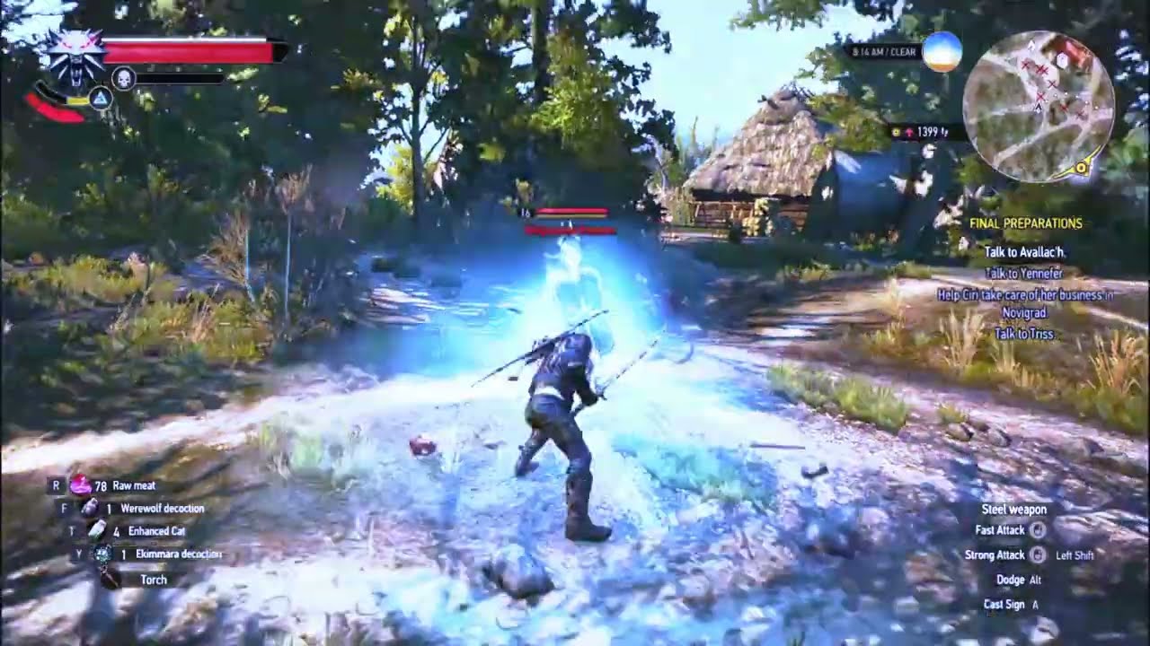 The witcher 3 : wild hunt - wolven Aard sign build (before Blood and wine expension)