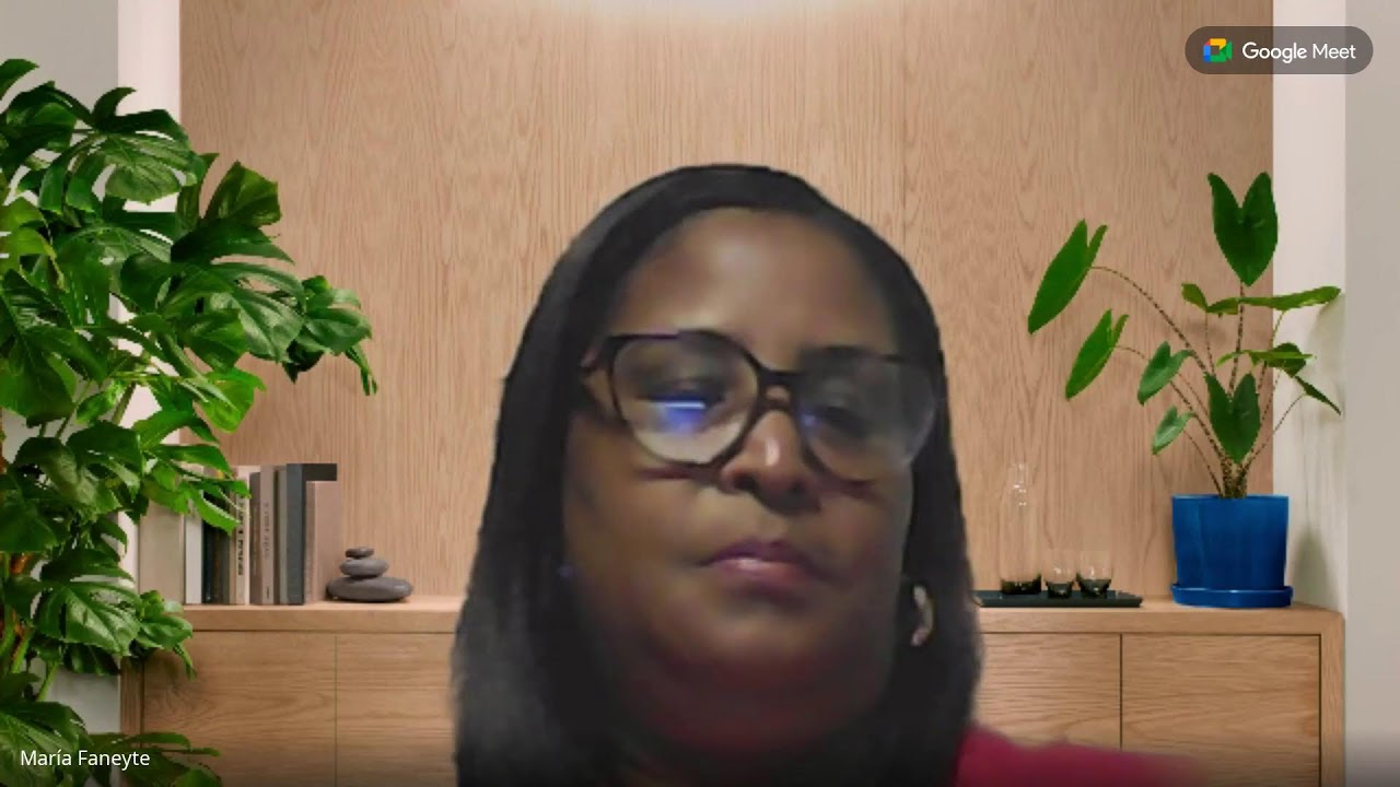 EDUCACIÓN PRIMARIA A24 (DIDÁCTICA DE PRIMARIA - MARÍA FANEYTE) RECURRENTE