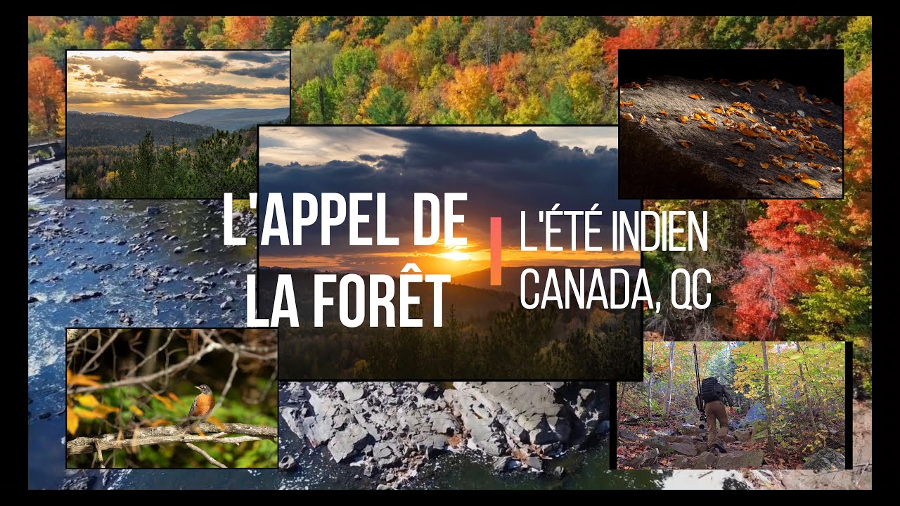 L'appel de la forêt. L'été indien - Canada QC