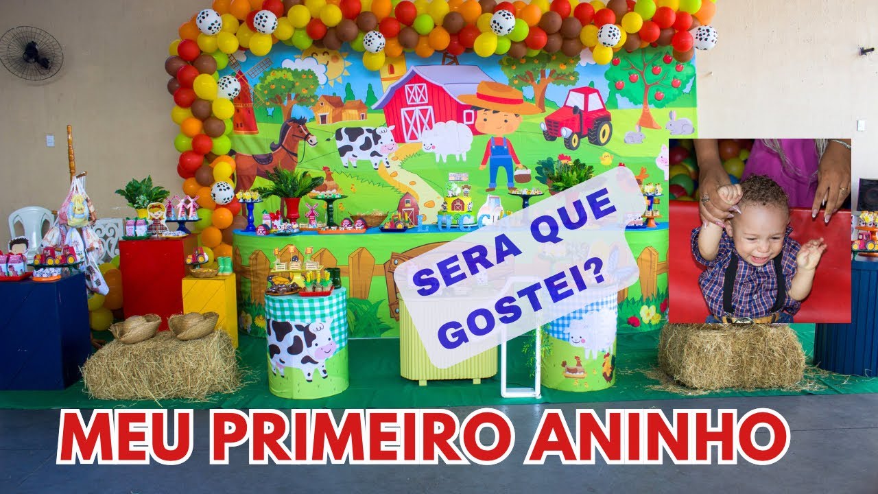 FESTA FAZENDINHA – 1 ANINHO DO BEBÊ LUCCA 🩵 RESULTADO FINAL DA FESTA!