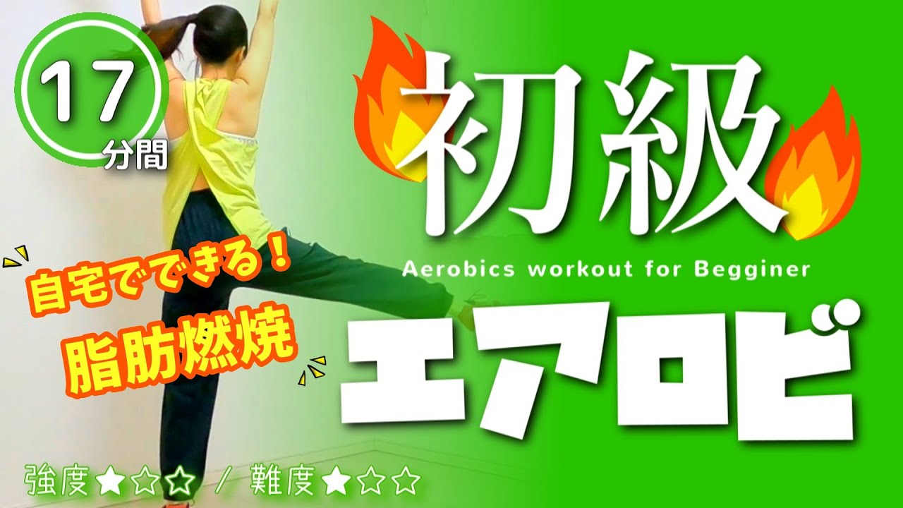 エアロビクス【初級動画】覚えなくても簡単にできる！脂肪燃焼ダイエット #276