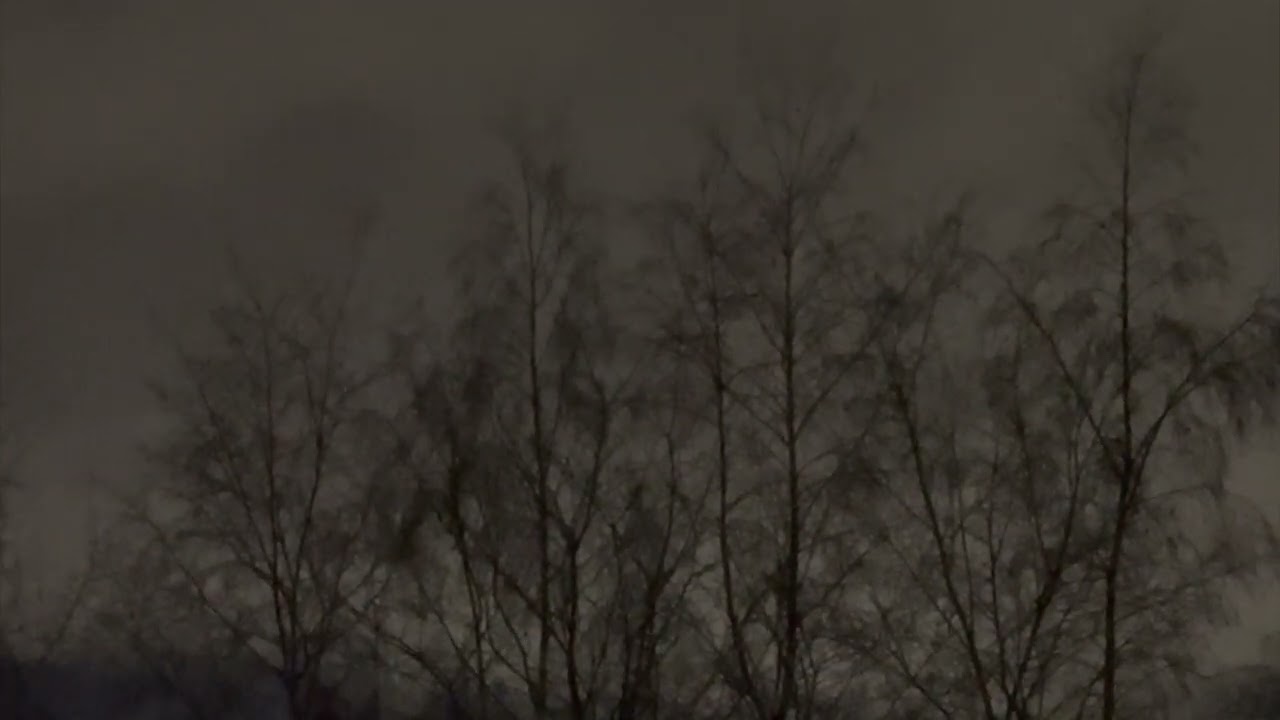 Obelisk Grove "Bedside" - Lyric Video
