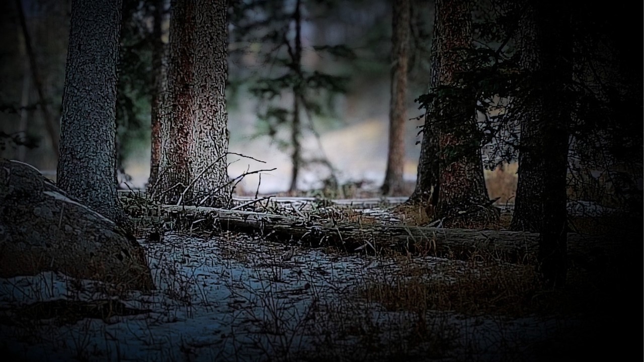 This Used to Be a Safe Trail&hellip; Not Anymore | Trail Cam Secrets