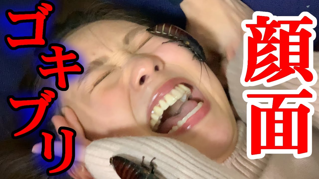 昆虫女子に大人気のゴキブリゲームが超過酷すぎた！！！