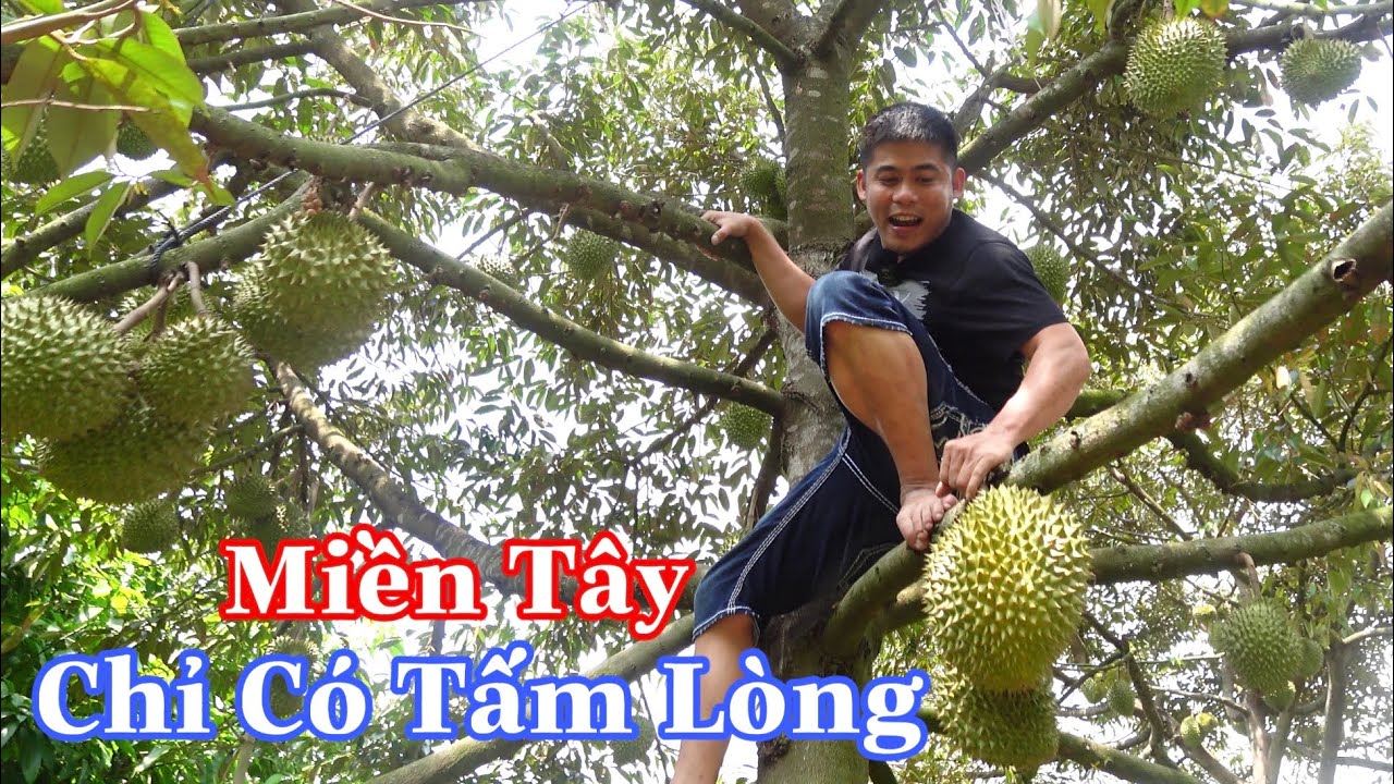 Miền Tây Vùng Đất Phù Sa Được Thiên Nhiên Ban Tặng
