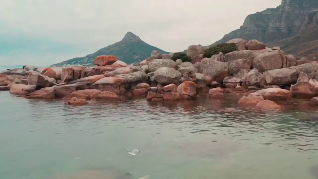 إله العالمين وكلِ أرض ــ إنشاد أبو عاصم