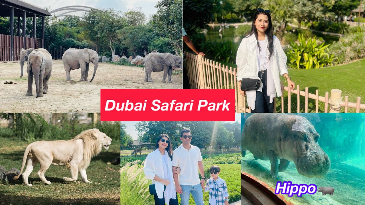 Dubai Safari Park Tour & Wildlife Experience | Dubai Zoo🇦🇪 | Best family Adventure of Dubai| 