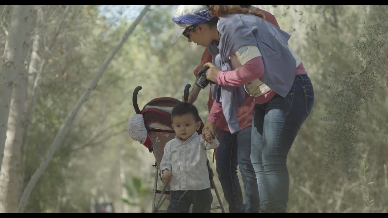 Seeds of Change in the Colorado River Delta