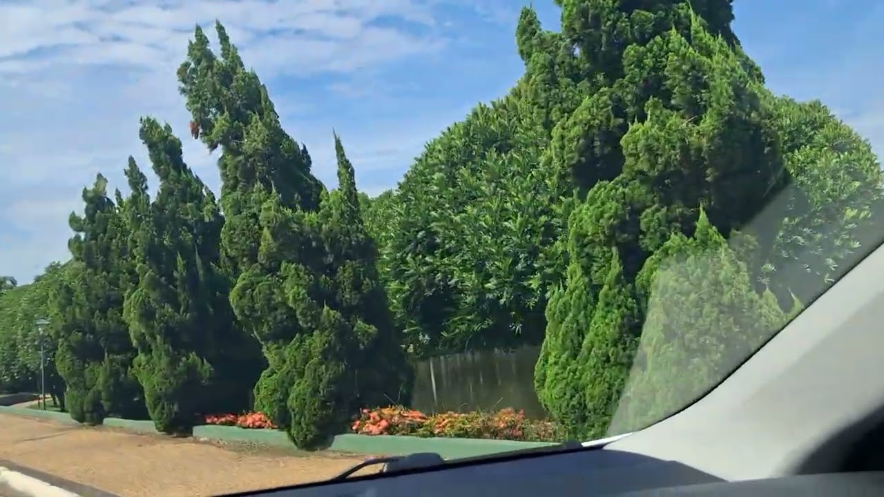 Lugares pra conhecer em HOLAMBRA parte 2