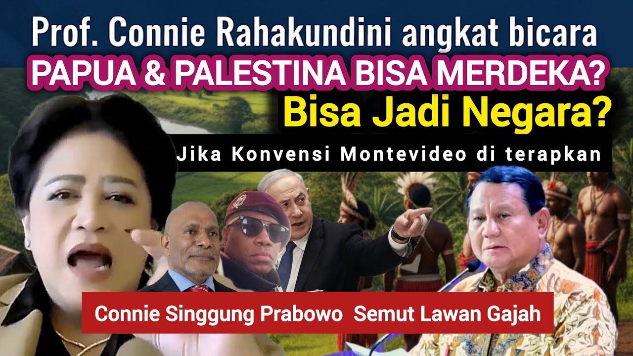 Syarat Suatu Negara Bisa Diakui Resmi! | Penjelasan Konvensi Montevideo Secara Mudah