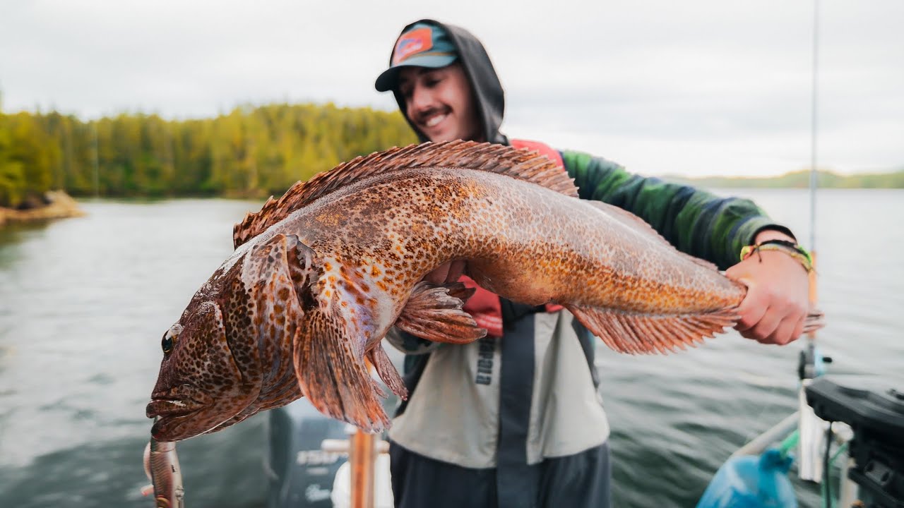 GIANT Sea Dragons of Port Hardy (Fishing for Big Lingcod)
