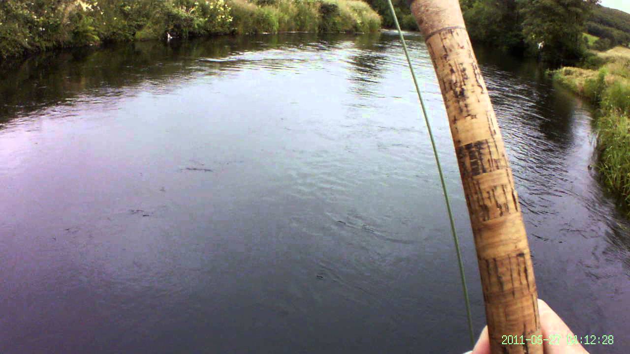 Salmon fishing River Derg, from woodside stretch 23 07 15