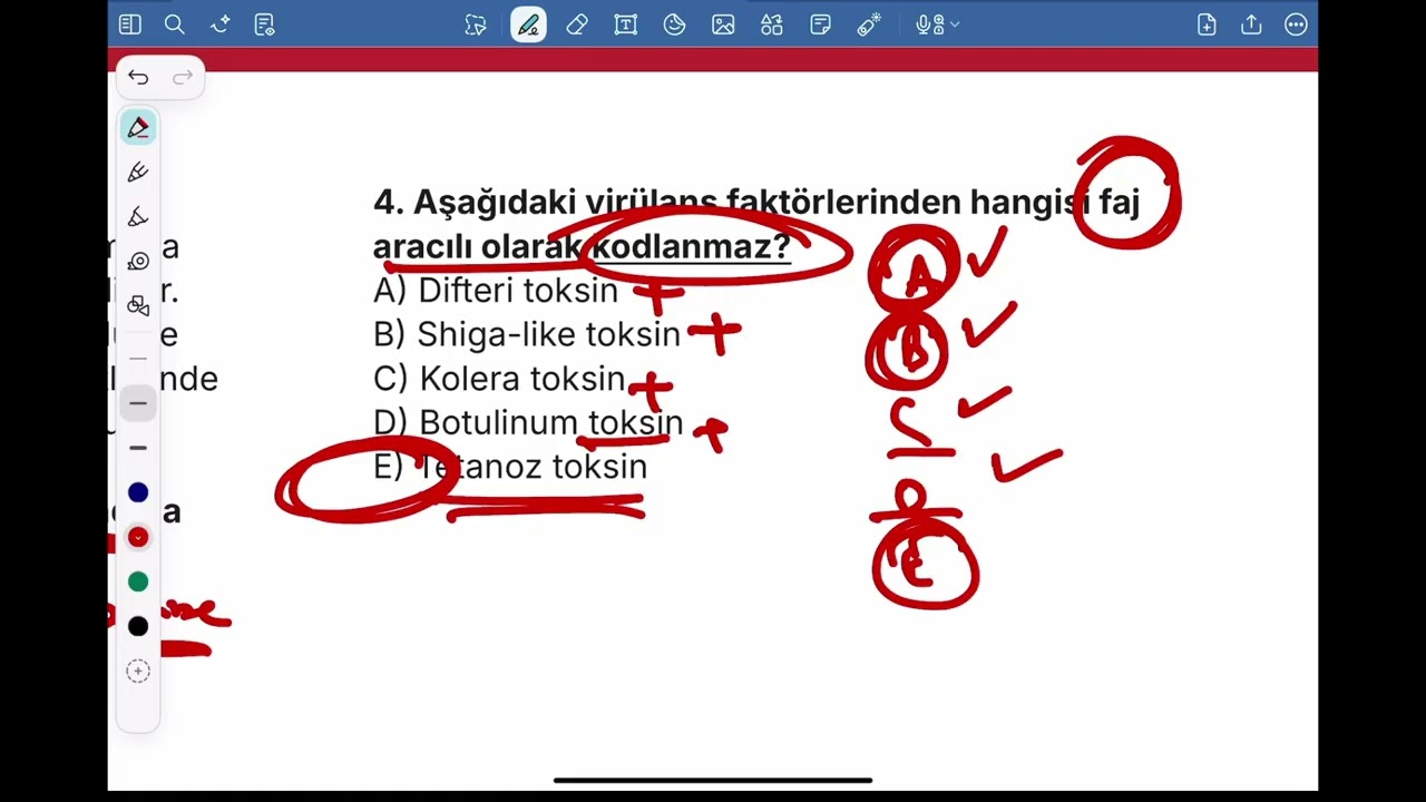 8 MİKRO ON DENEME SINAVI 8