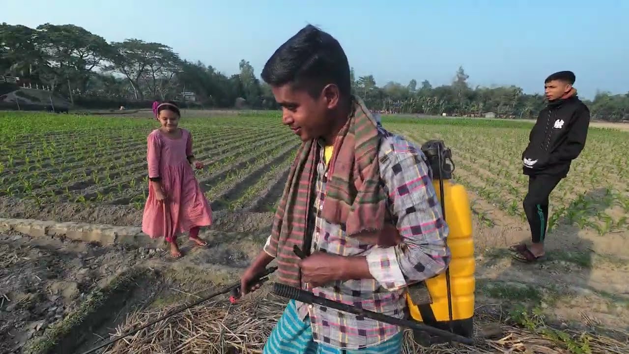 করলা হ্মেতের গ্রোথ বাড়ানোর জন্য কি মেডিসিন দিলাম || Dibanishi Protidin