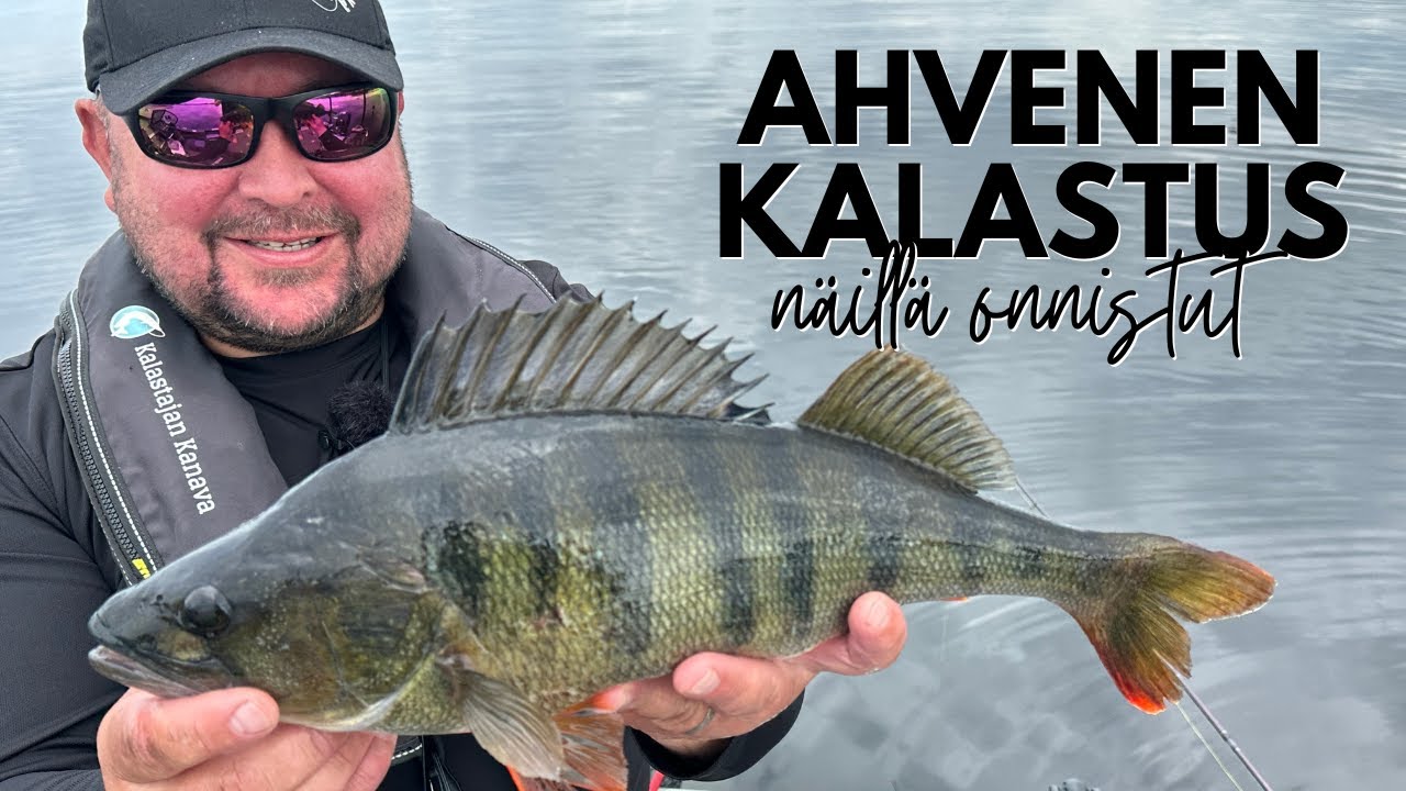 Kilo rikki! Ja vielä kaksi kertaa | Ahvenenkalastus, näillä onnistut