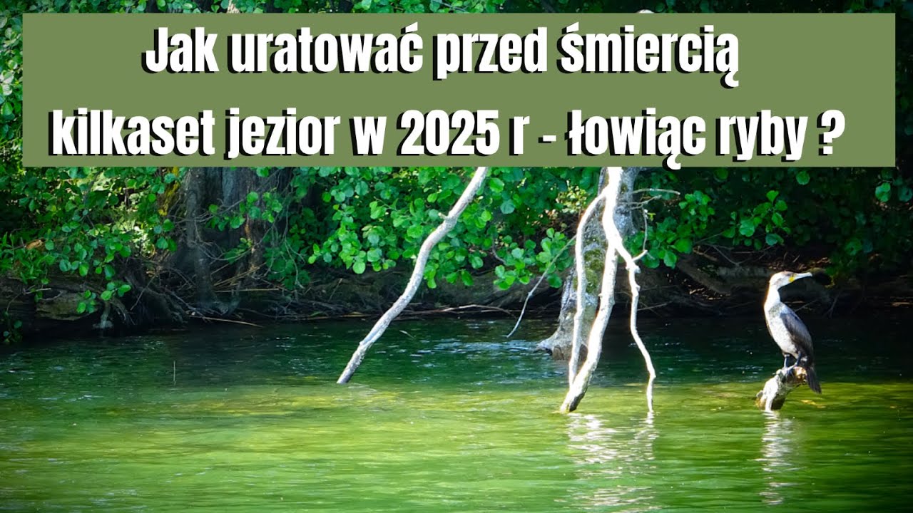 Jak naprawić kilkadziesiąt jezior łowiąc ryby ? APEL o zaangażowanie tych, którym zależy na rybach !