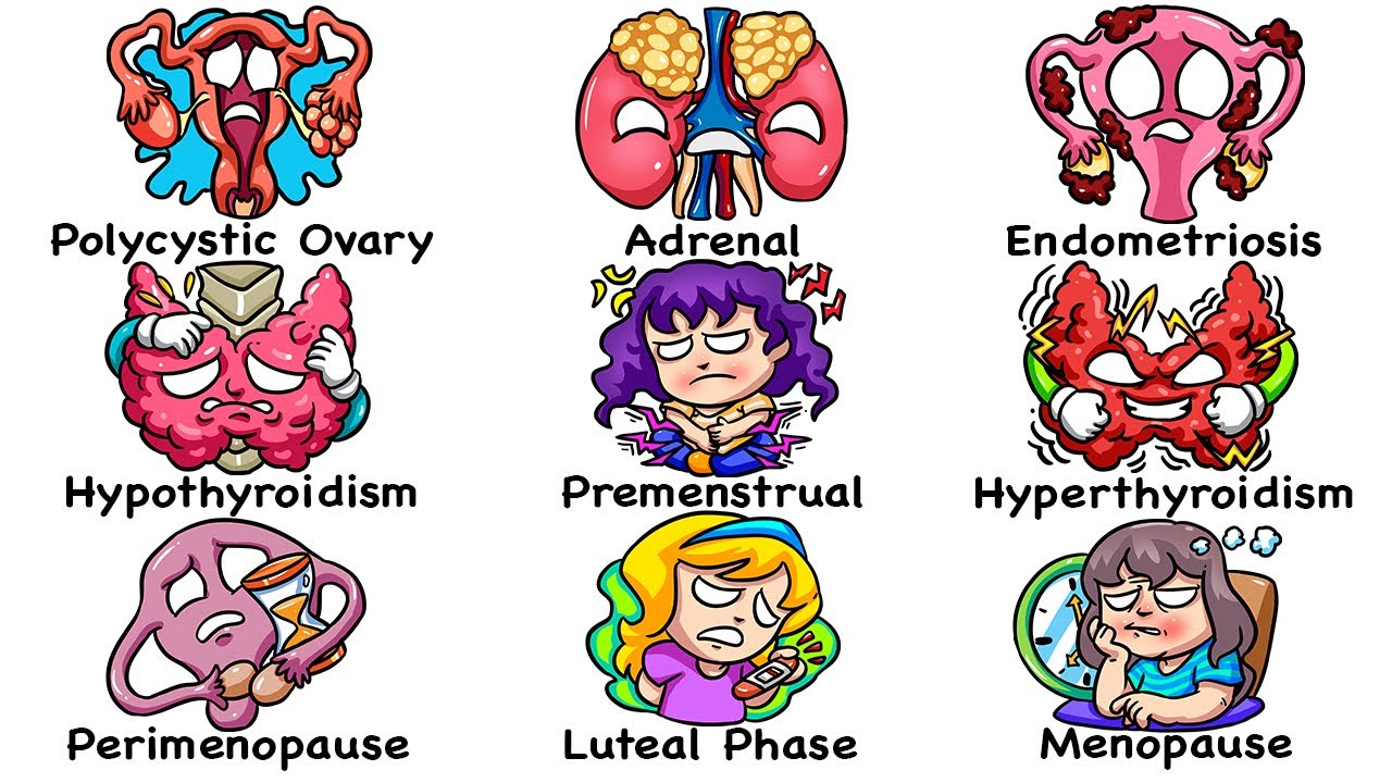 Every Hormonal Disorder Explained in 16 Minutes