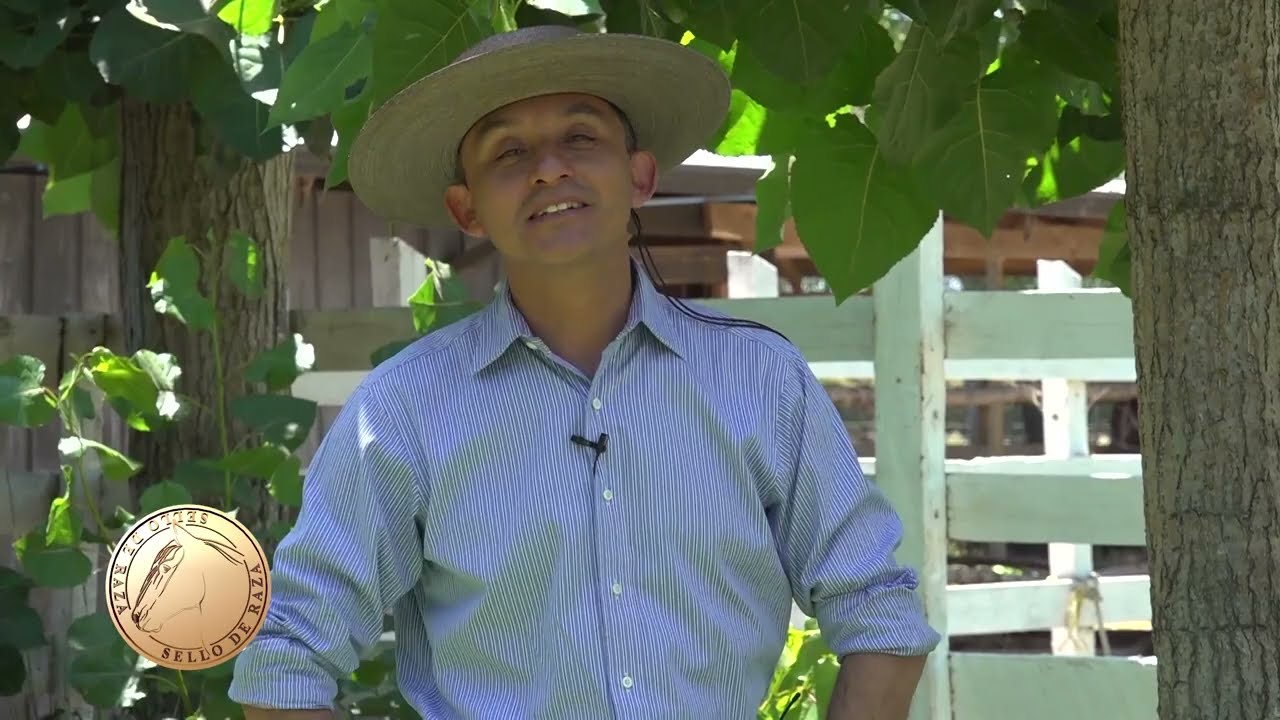 Sello de Raza Cap529 Criadero Las Cienagas