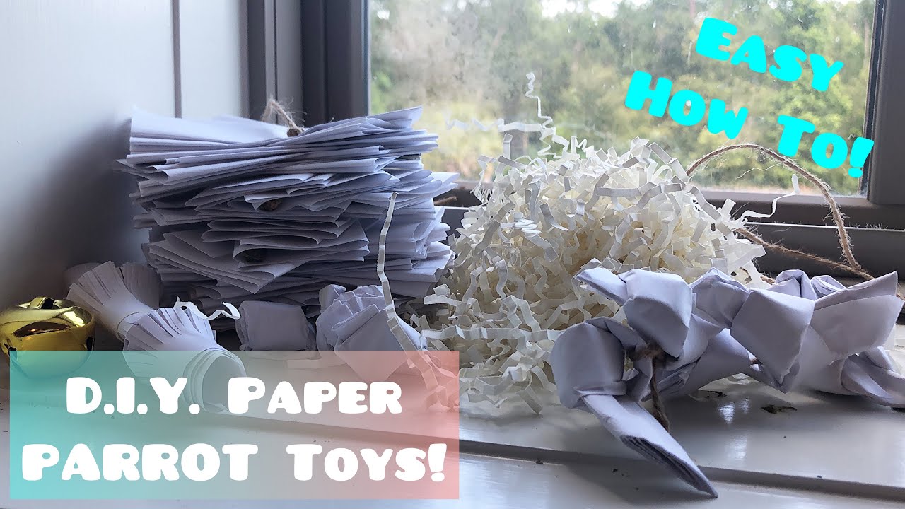7 Easy D.I.Y. PAPER Bird Toys | How To