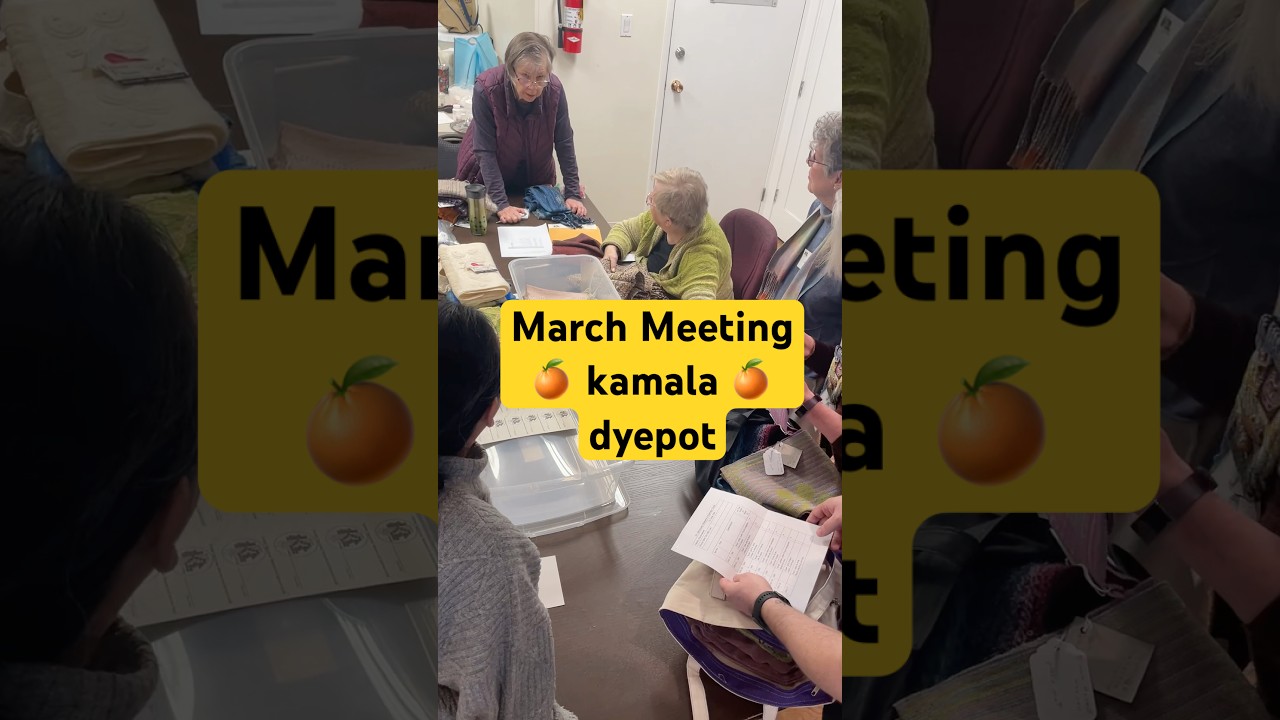 March meeting full of weaving and 🍊 kamala 🍊 goodness #fiber #weave #spinning #vancouver #yarn