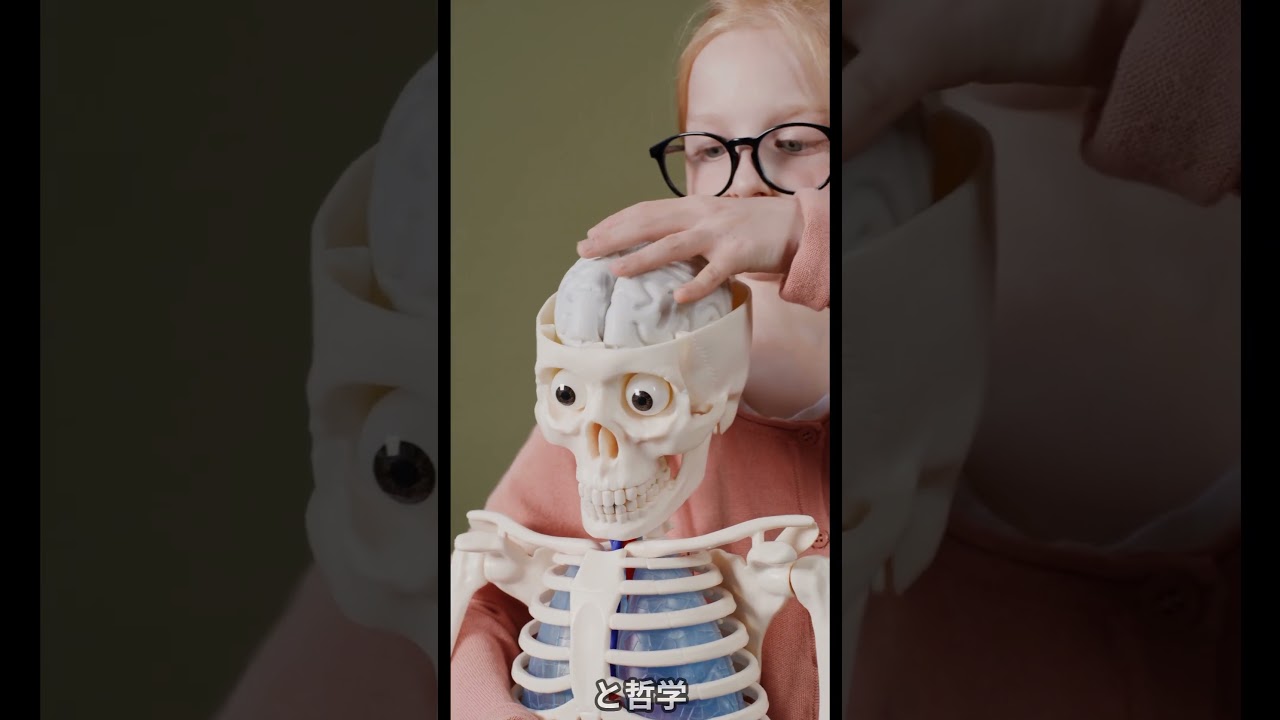 「ストイシズム」の精神修養法とは？