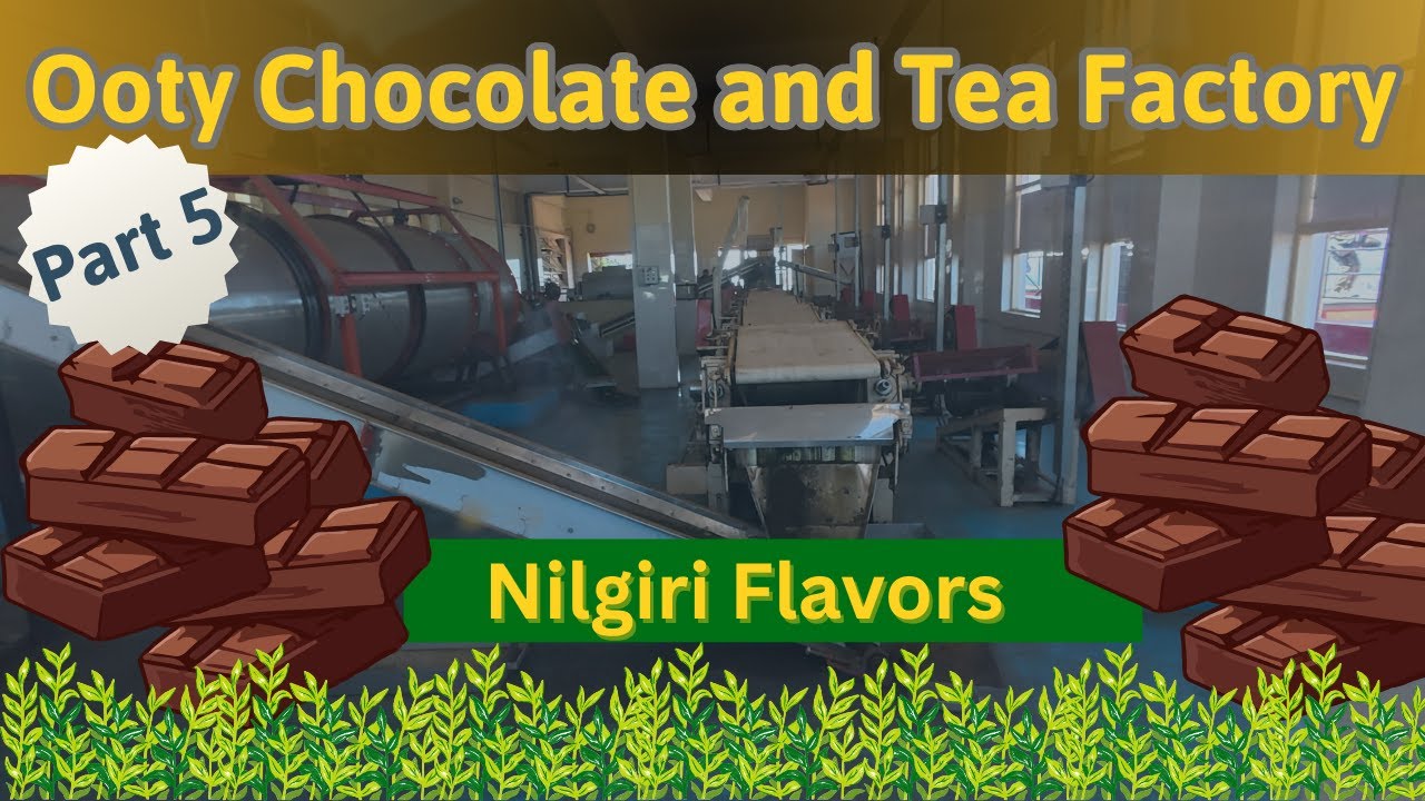 Ooty vlog part 05|Chocolate & Tea Factory Visit| #ooty #ootytour #ootyvibes #ootytrip #kannadavlog