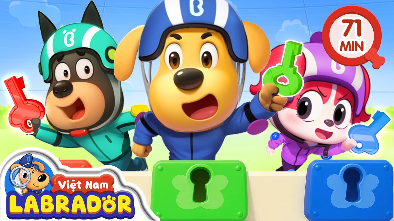 🥷 Buổi huấn luyện của cảnh sát trưởng Labrador  👮 Cảnh sát trưởng Labrador Vietnam 🚔