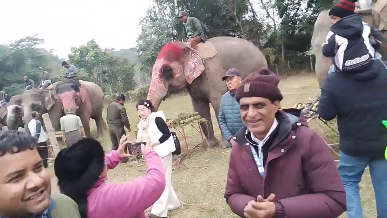 पुन्टुरीलाई चारैतिरबाट मानिसहरूले घेरेर फोटो खिच्दै 😍🐘 | चितवन सौराहा हात्ती महोत्सव Punturi 