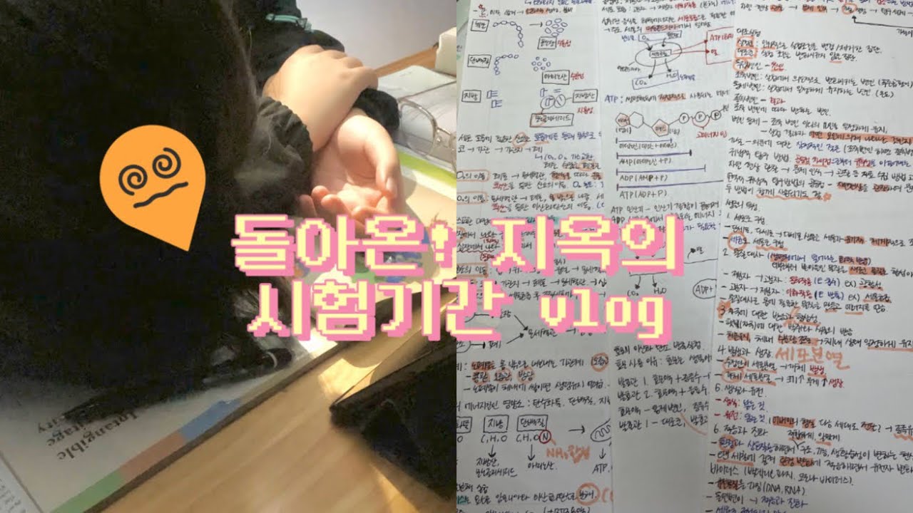 돌아온!! 지옥의 시험기간🔥Ep.1 | 고2 1학기 중간 이과 | D-17부터 D-7까지 | midterm exam