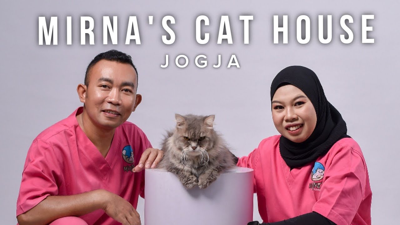 Sibes The Cat sedang live sekarang!