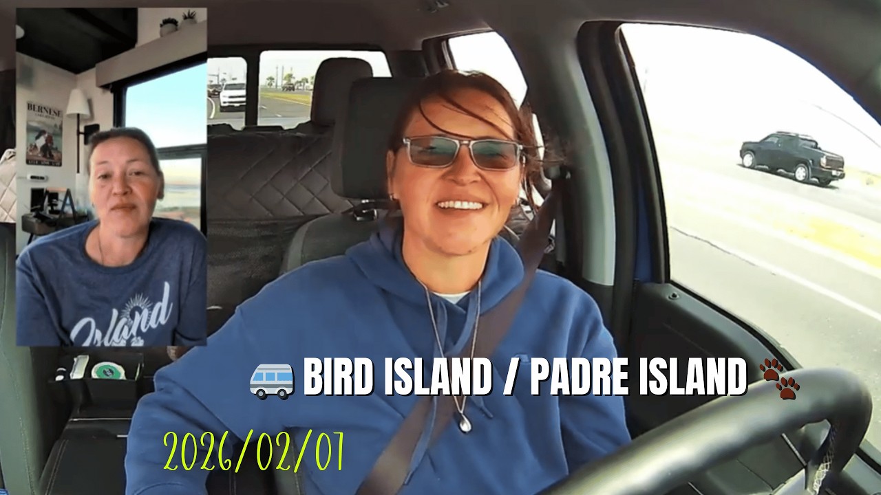 🚐 Bird Island :Epic Views & Amazing People!  | Des paysages fous et des gens formidables ! 🐾