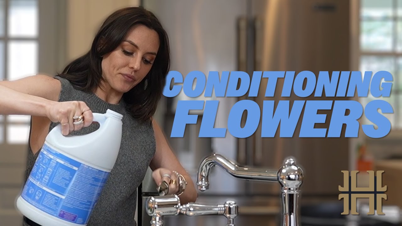 Conditioning Flowers 101 with Hollis