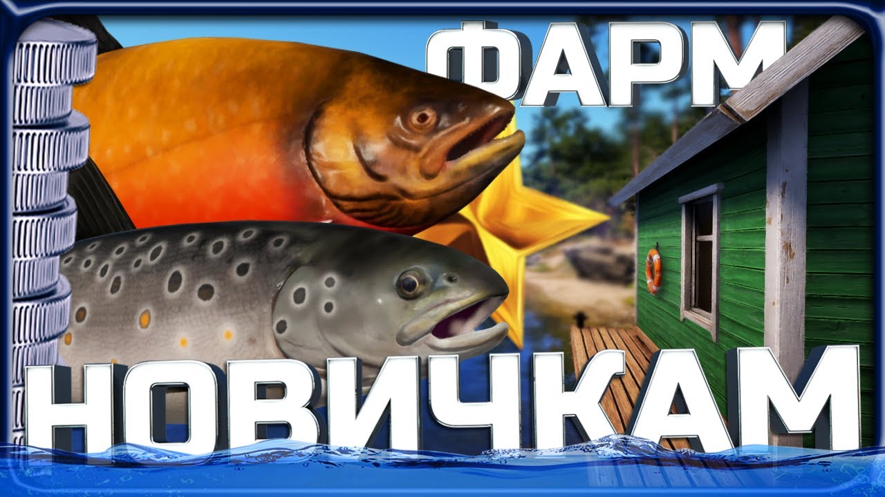 РР4 ОТЛИЧНЫЙ ФАРМ ДЛЯ НОВИЧКОВ И ПРОКАЧКА СПИНИНГА НА КУОРИ!
