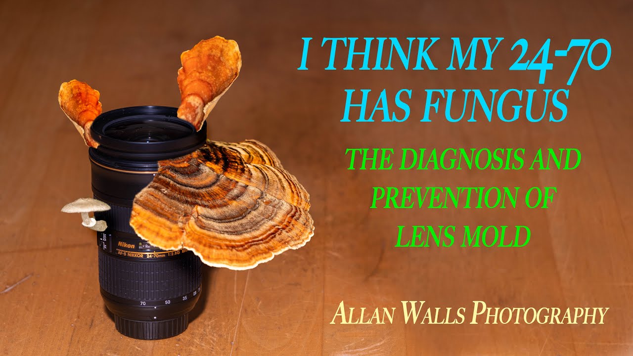 I Think My 24/70 Has Fungus - the diagnosis and prevention of lens mold