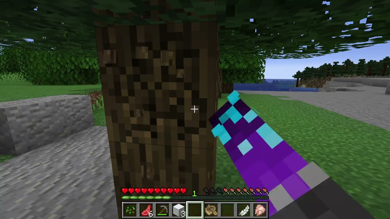 Minecraft Java Gameplay #1 (No Commentary)