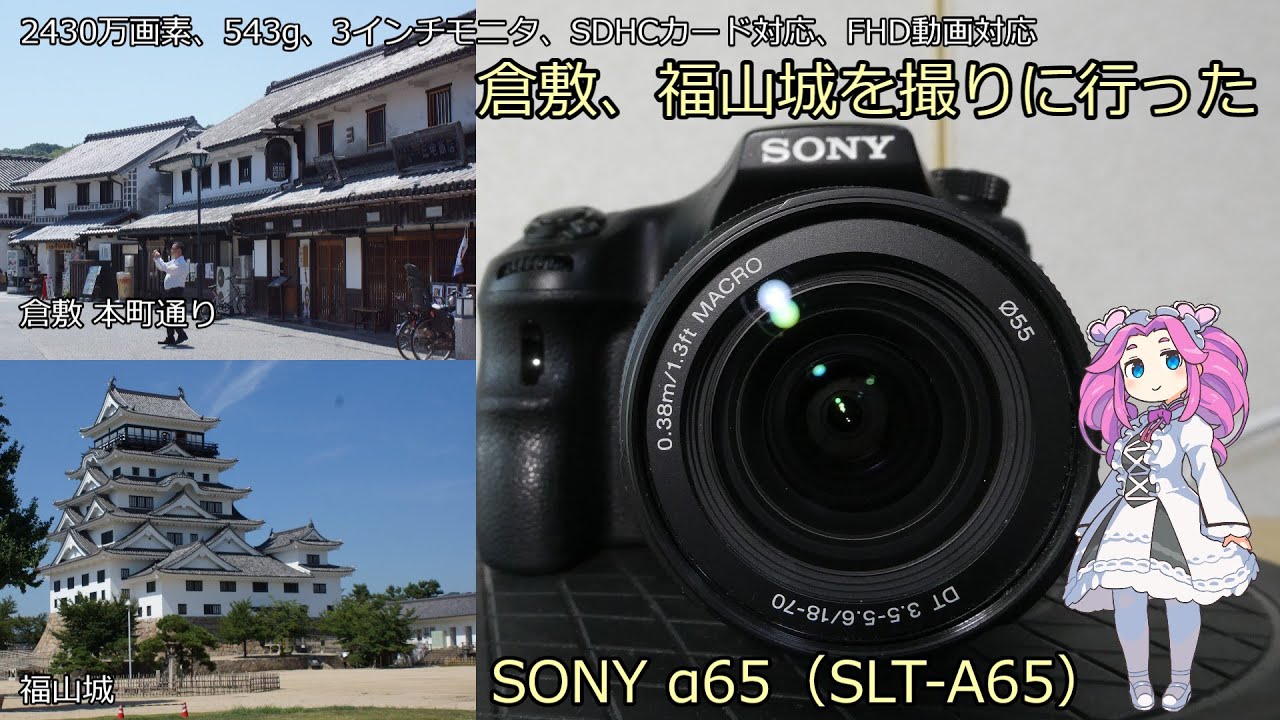 SONY α65 中古品カメラ紹介 with SONY SAL1870 1:3.5-5.6 倉敷、福山城を撮ってみた
