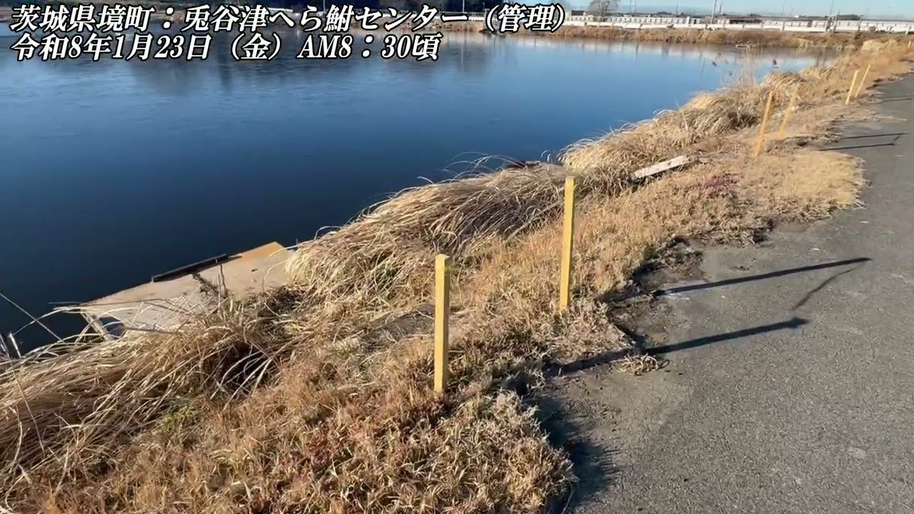明けましておめでとうございます。本年も宜しくお願いします！【兎谷津へら鮒センター】令和８年１月２３日（金）の様子