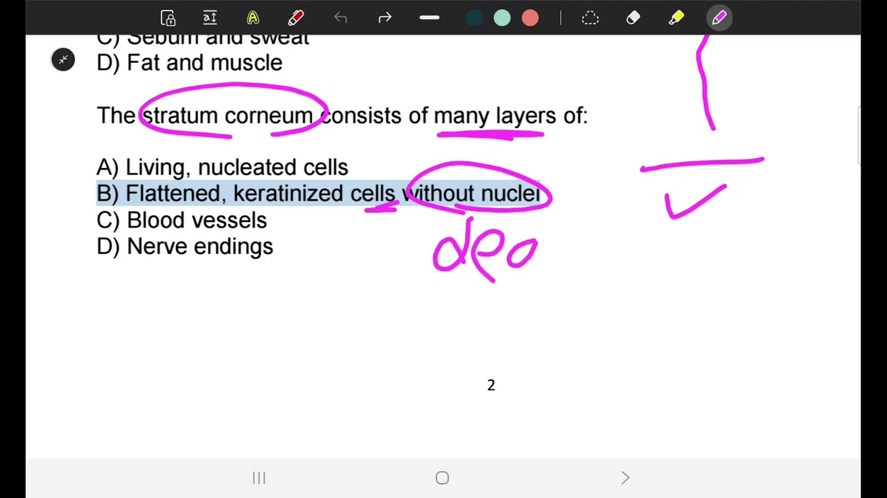 Ceutics II L1 Q (NINU)