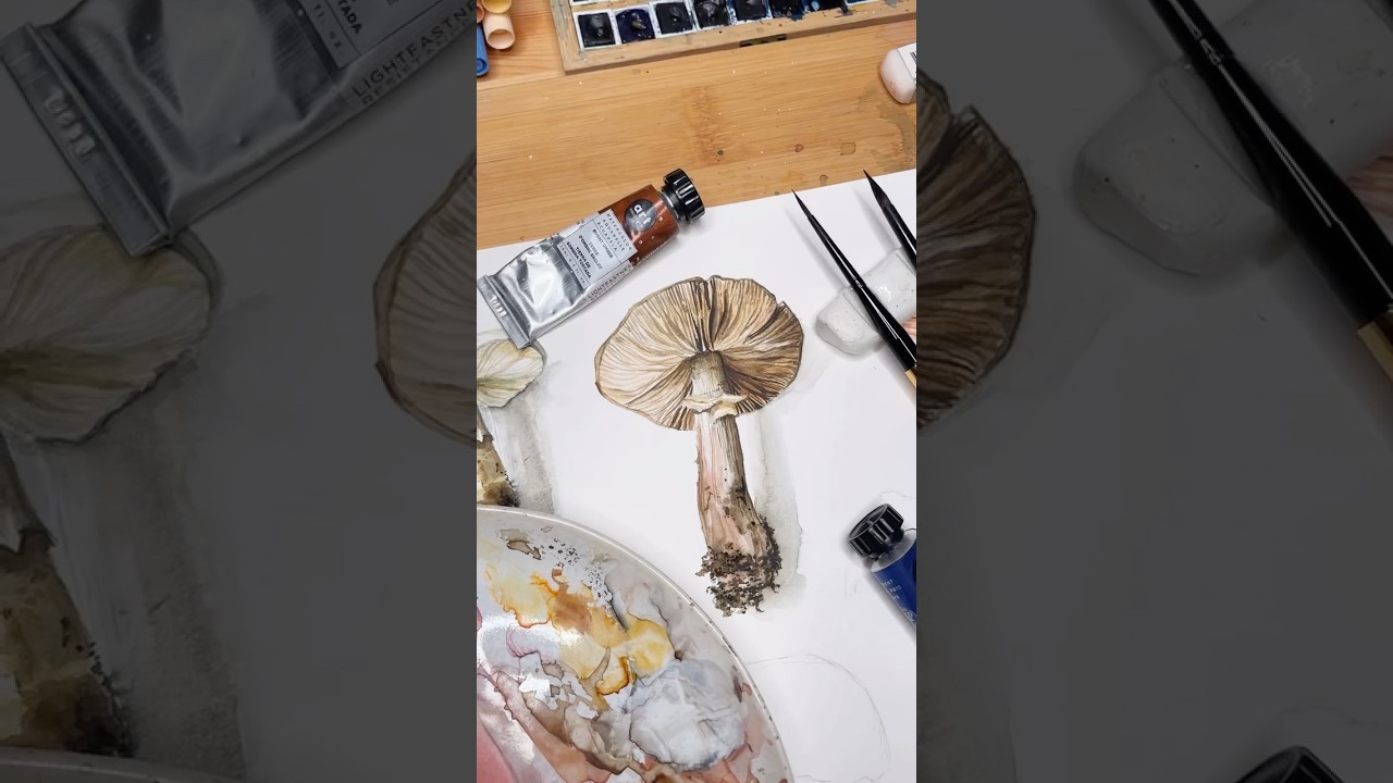 Mushrooms in Art Philosophy watercolor tubes by BA Dora Koreny #mushroom #watercolorart #mushrooms