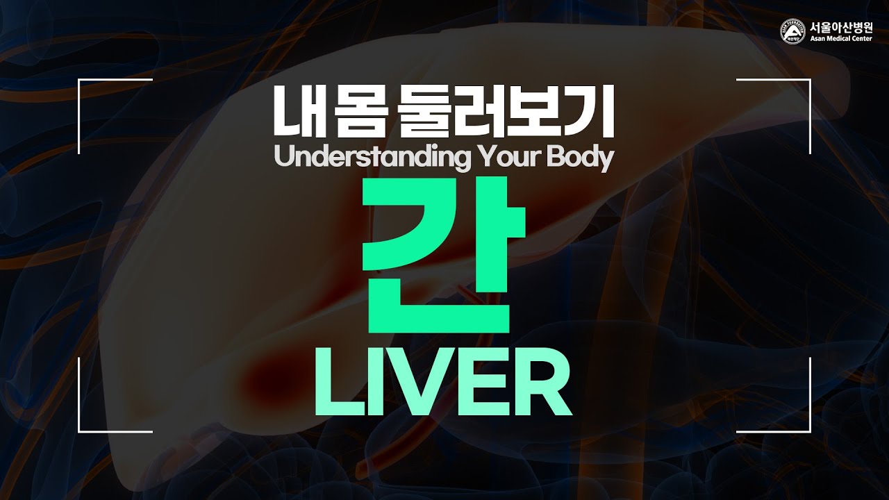 간 [내 몸 둘러보기]