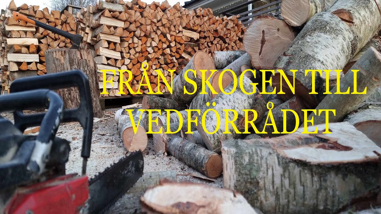 Från skogen till vedförrådet 2024
