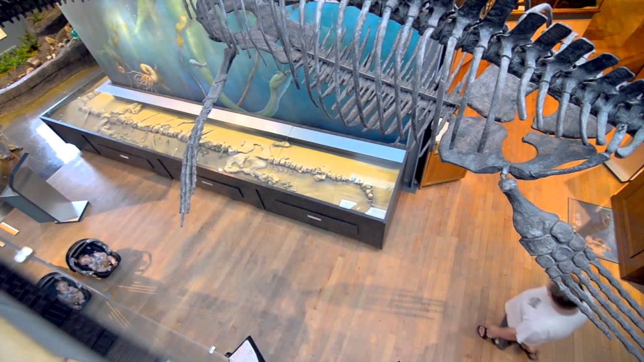 Welcome to the Courtenay Museum