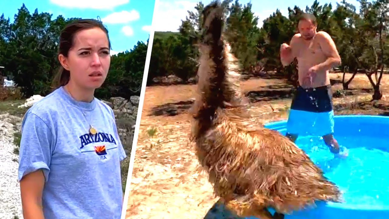 So I Was Forced to Do Maya's Job For a Day...