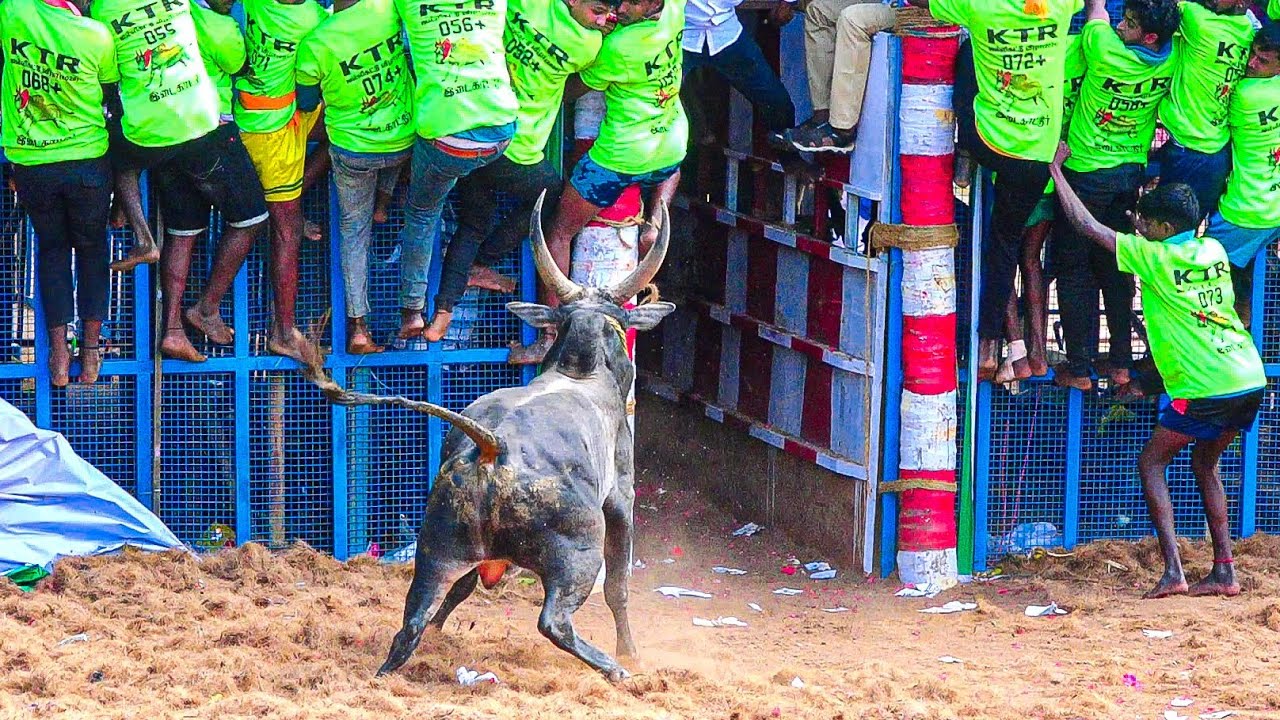 Idaikkadu Jallikattu 2026 | KTR நடத்தும் இடைக்காட்டு ஜல்லிக்கட்டு 2026 Videos 03