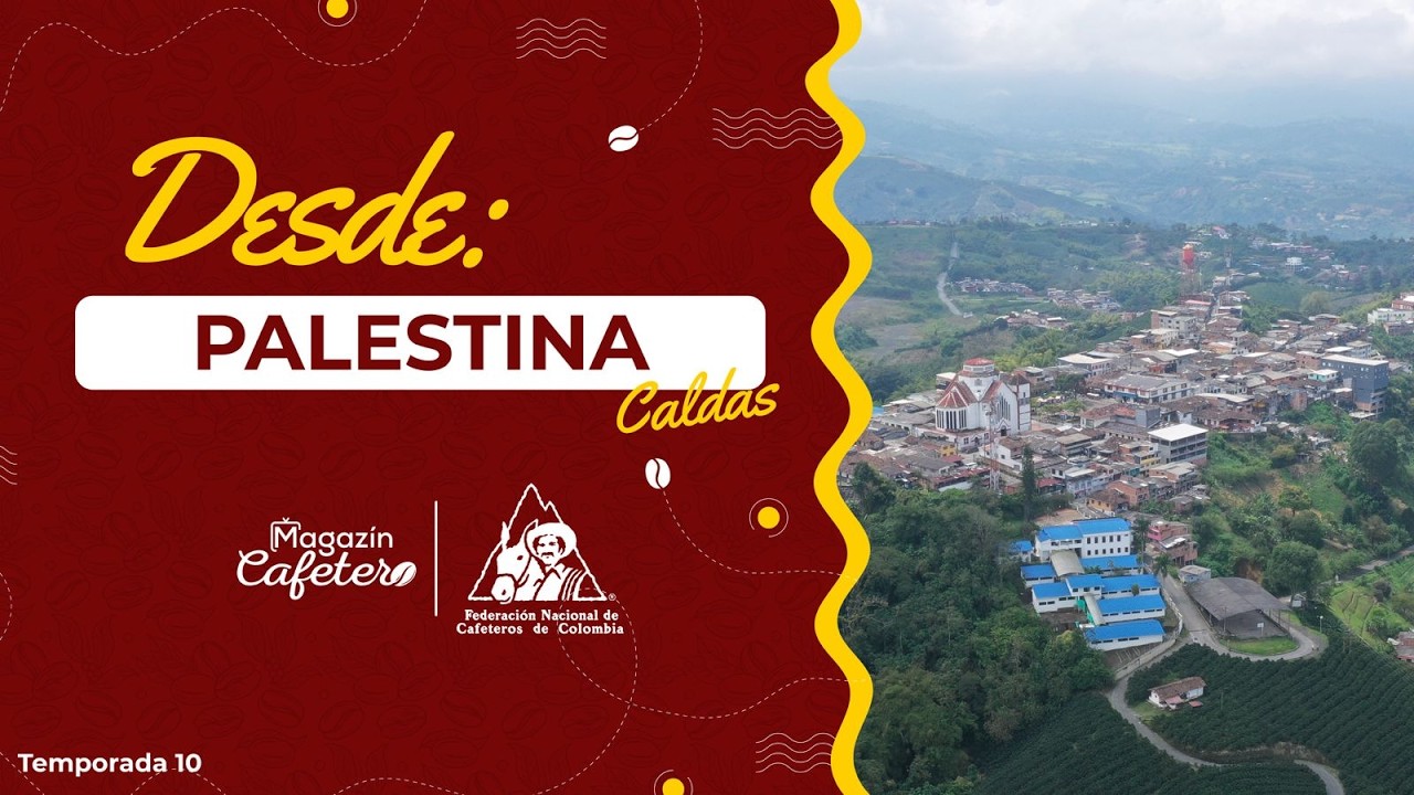 Magazín Cafetero | Temporada 10 - Capítulo 2 | Palestina, Caldas: café que conecta territorio