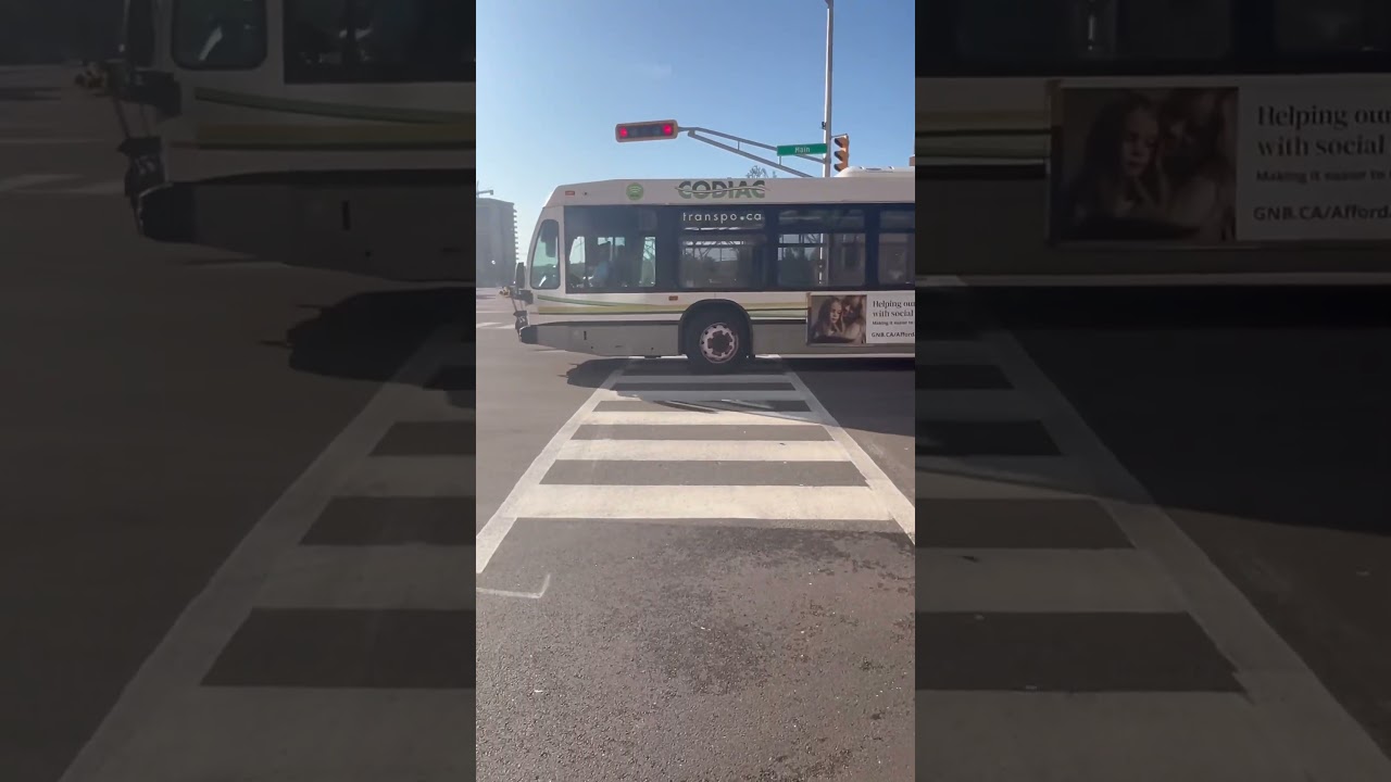 Codiac Transpo 602