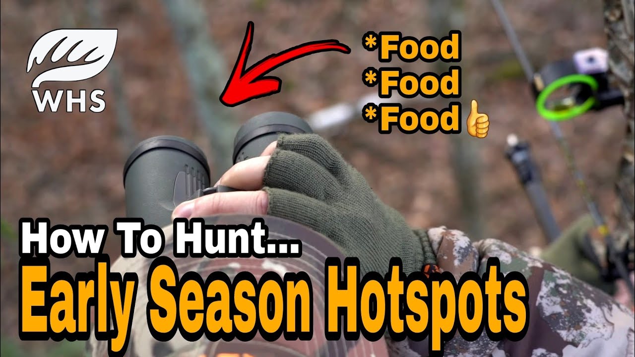 Early Bow Season Food Source Hunting Strategy