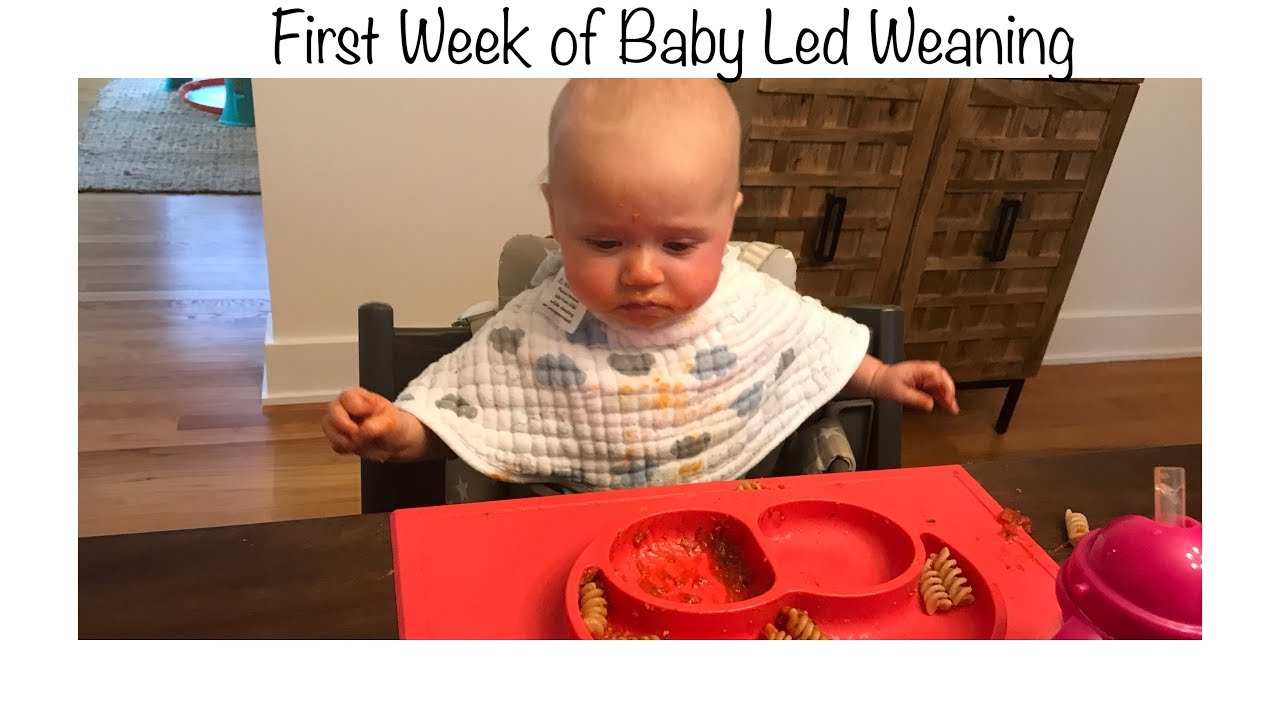 First Week of Baby Led Weaning at 6 months old Part 1